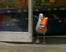 Shoplifting Seagull Has The Munchies